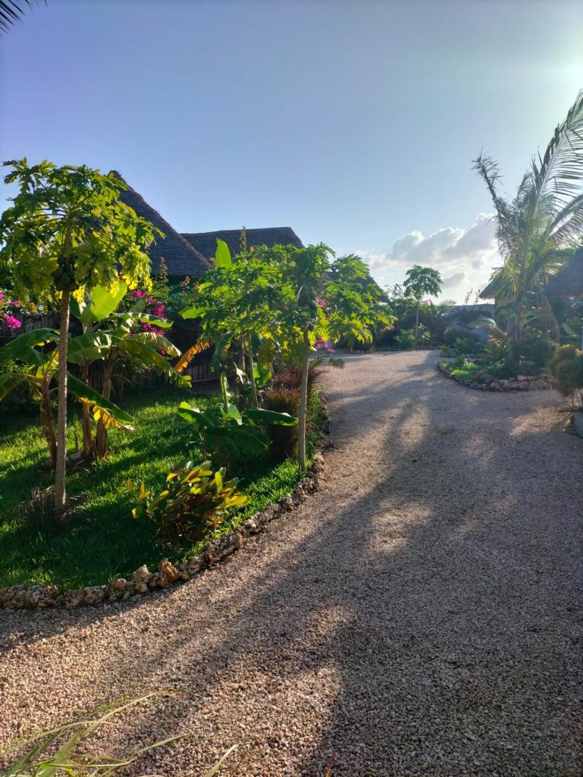 Bed and Breakfast Kendwa Carletto Style Exterior foto