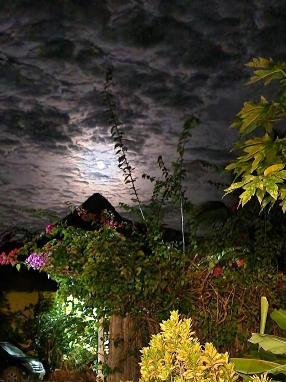 Bed and Breakfast Kendwa Carletto Style Exterior foto