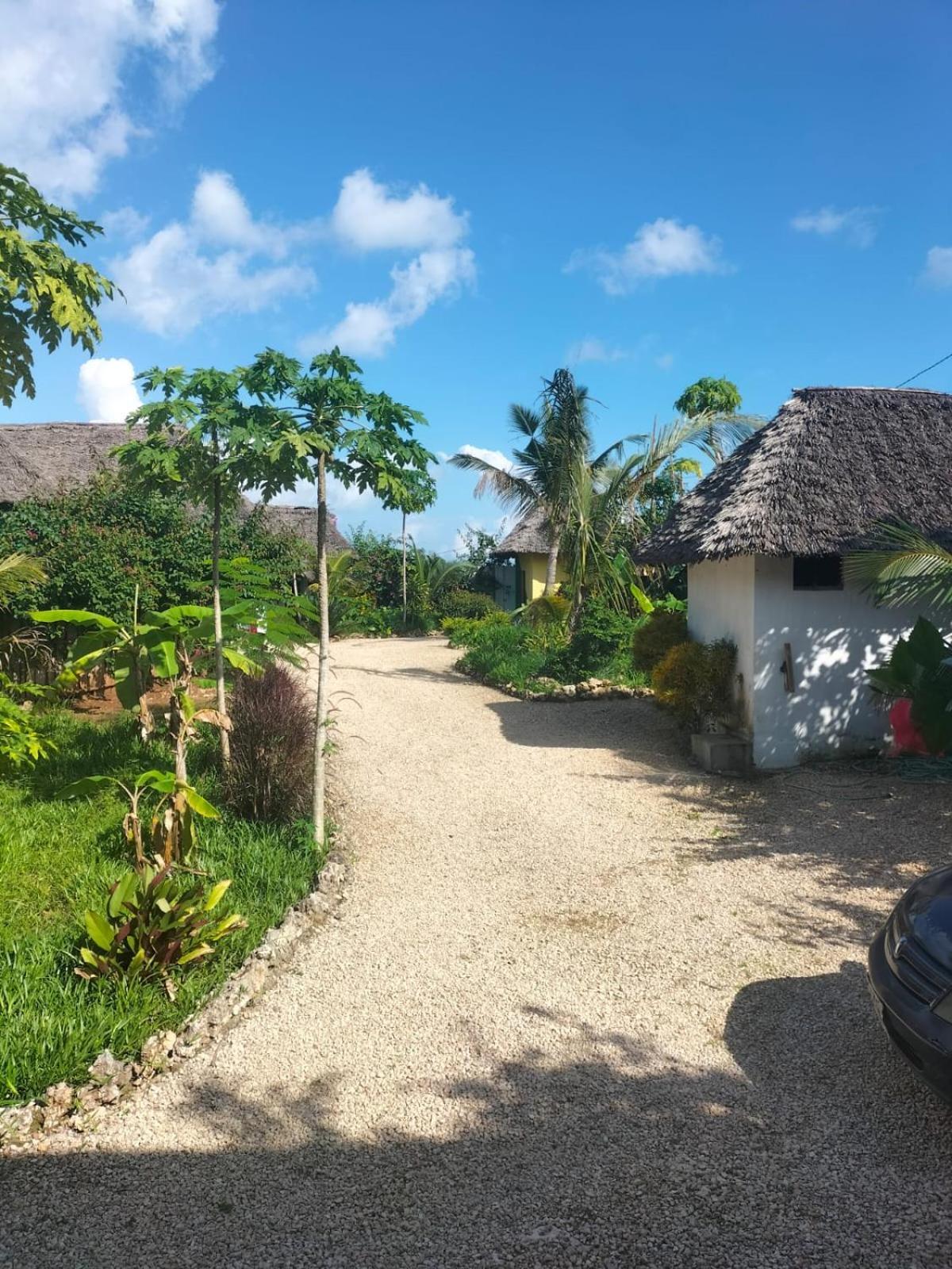 Bed and Breakfast Kendwa Carletto Style Exterior foto
