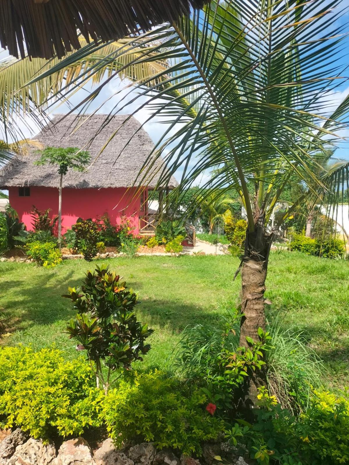 Bed and Breakfast Kendwa Carletto Style Exterior foto