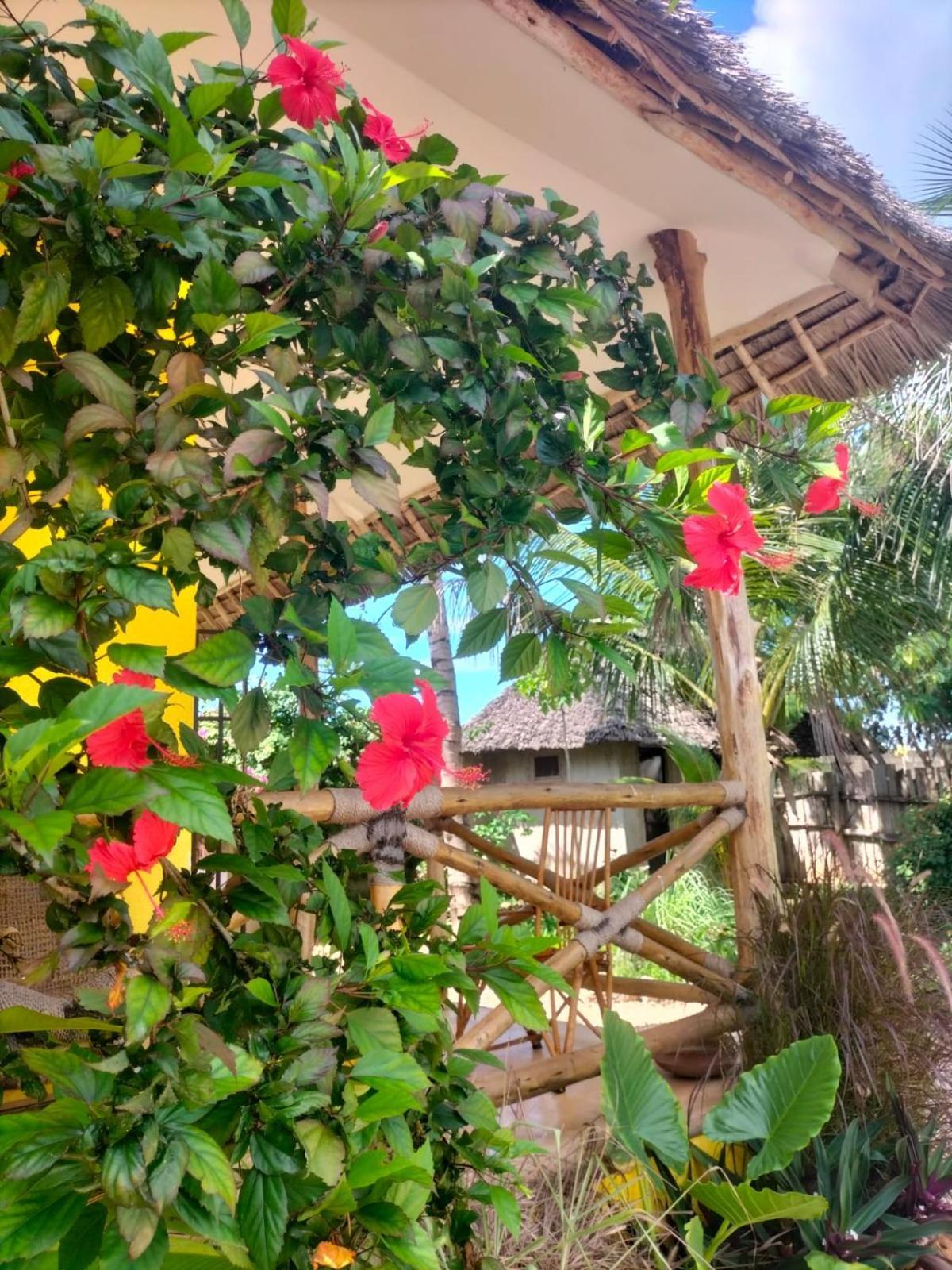 Bed and Breakfast Kendwa Carletto Style Exterior foto